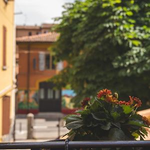 Camera singola